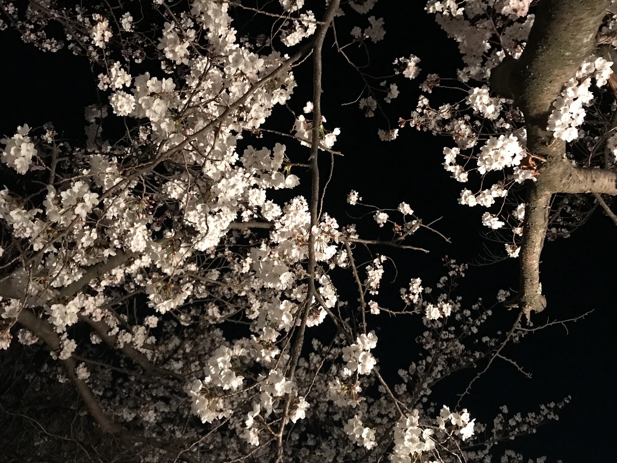 f:id:SUUMO:20211124163429j:plain