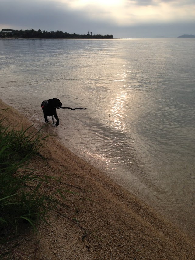 f:id:SUUMO:20211202134147j:plain