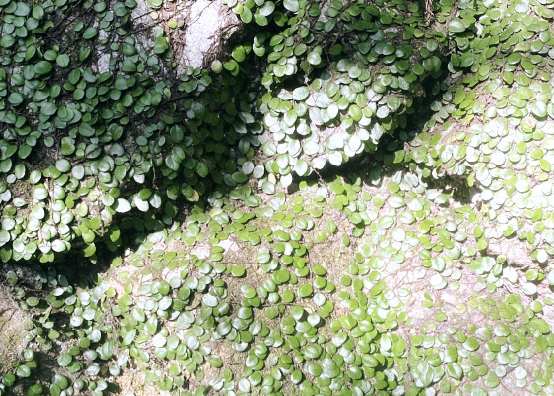 f:id:SUUMO:20220111185434j:plain