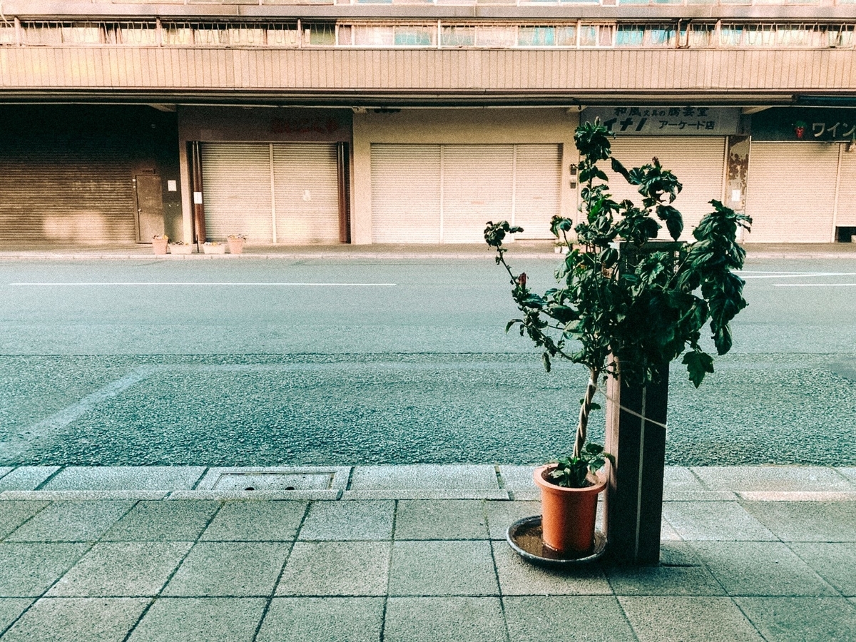 f:id:SUUMO:20220125101641j:plain