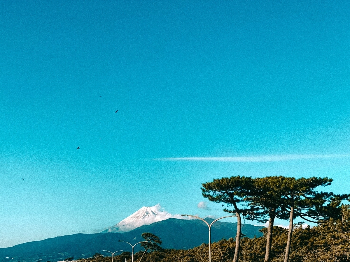 f:id:SUUMO:20220125102048j:plain