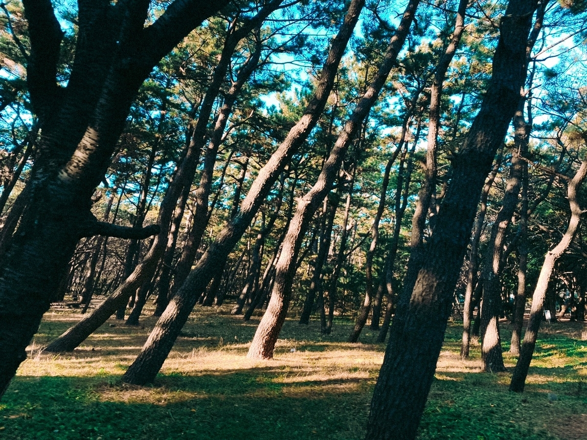 f:id:SUUMO:20220125102206j:plain