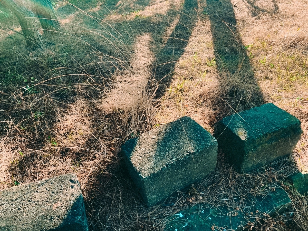 f:id:SUUMO:20220125102230j:plain