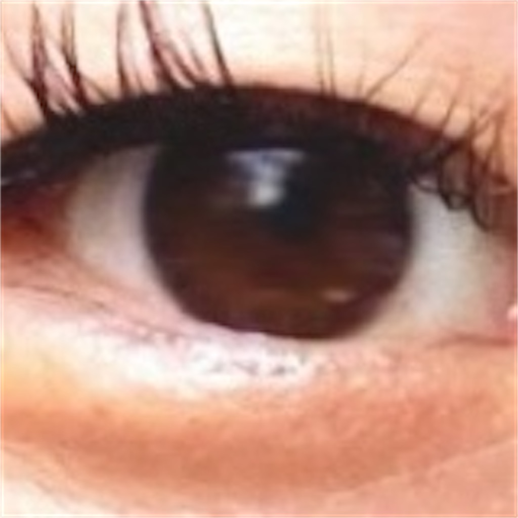 f:id:SU_vetement:20220831122533j:image f:id:SU_vetement:20220831122533j:image