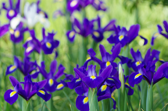 f:id:SXVM:20191022202936j:plain f:id:SXVM:20191022202936j:plain