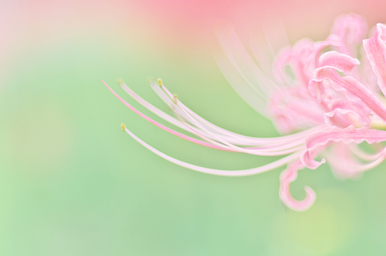 f:id:SXVM:20191214190218j:plain f:id:SXVM:20191214190218j:plain