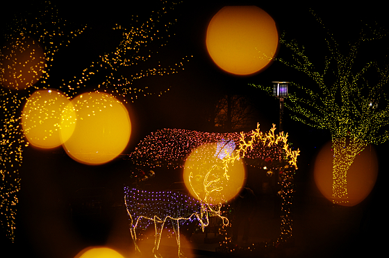 f:id:SXVM:20201229210649j:plain