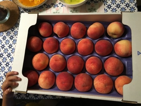 f:id:SY1698:20160717234047j:image