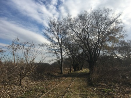 f:id:SY1698:20161213092825j:image