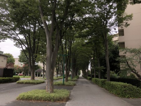 f:id:SY1698:20180820162615j:image