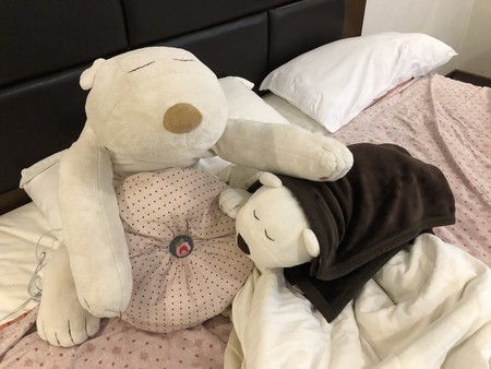 f:id:SY1698:20191109171522j:plain