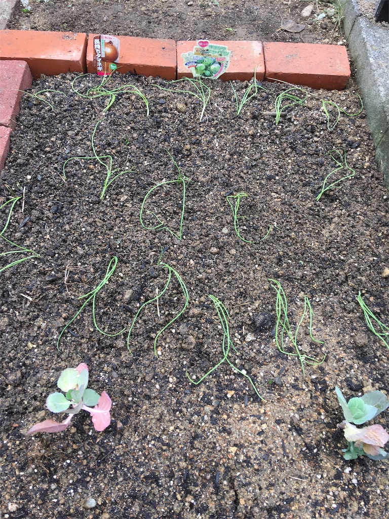 f:id:SYUREI:20171120103537j:image