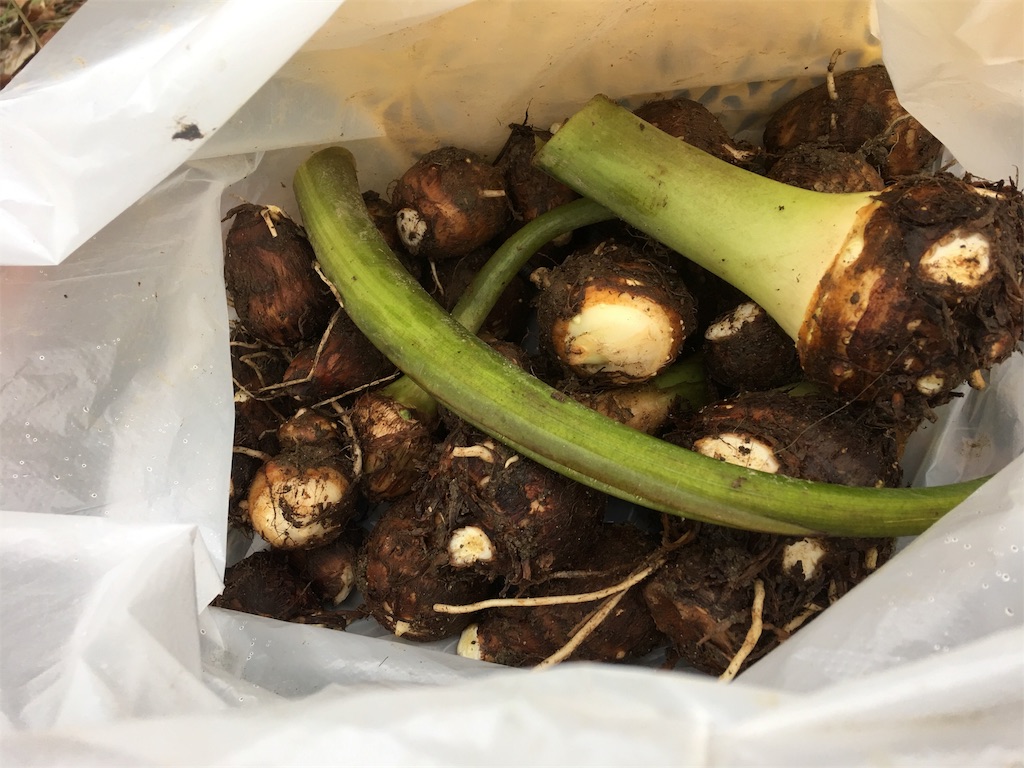 f:id:SYUREI:20171127070303j:image