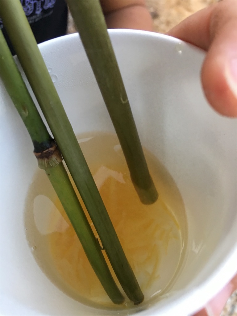 f:id:SYUREI:20171210073832j:image