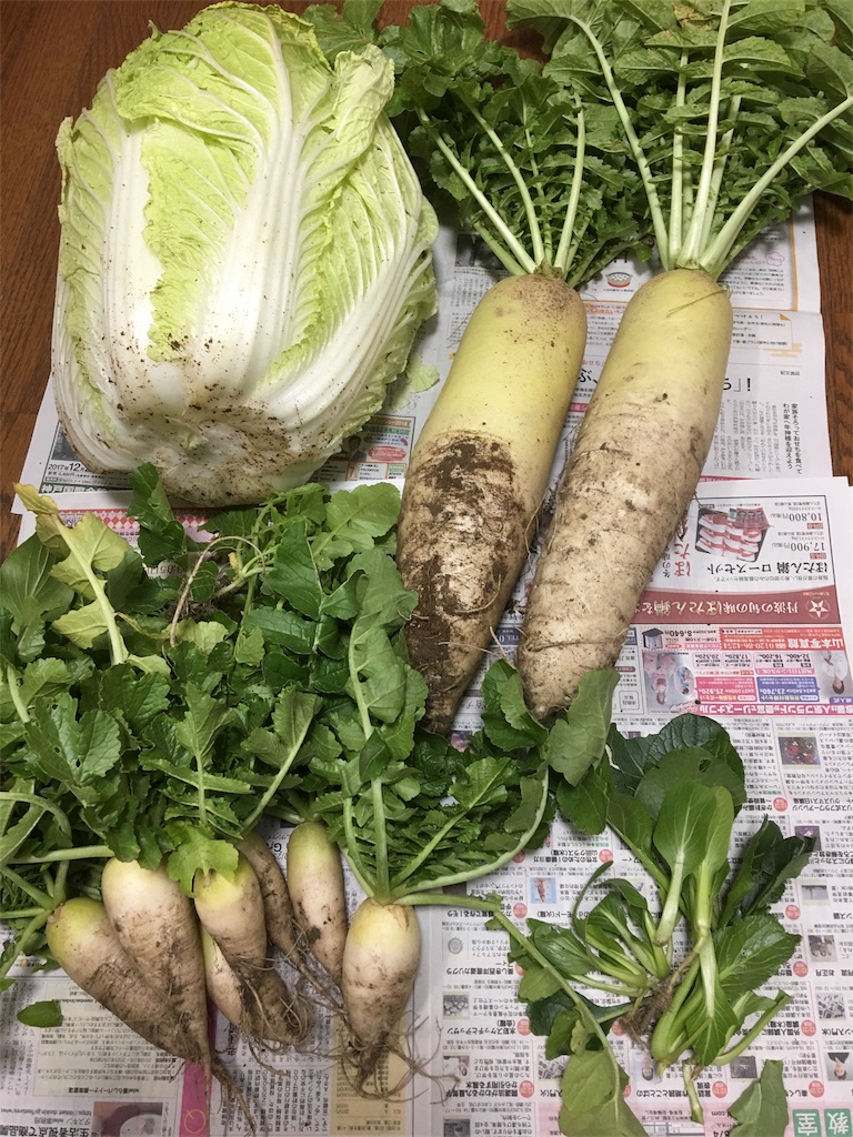 f:id:SYUREI:20171211093414j:image