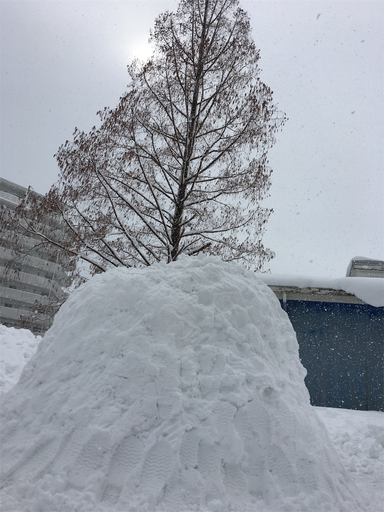 f:id:SYUREI:20180212125433j:image