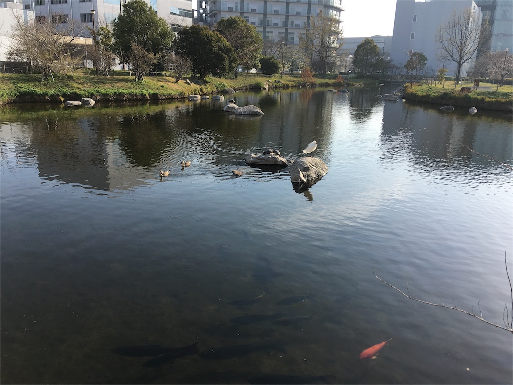 f:id:SYUREI:20180327124705j:image