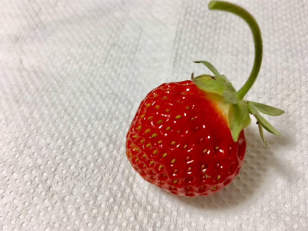 f:id:SYUREI:20180517072420j:image