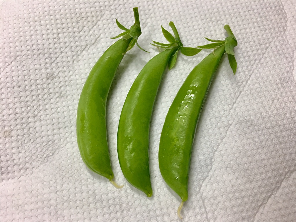 f:id:SYUREI:20180517072558j:image