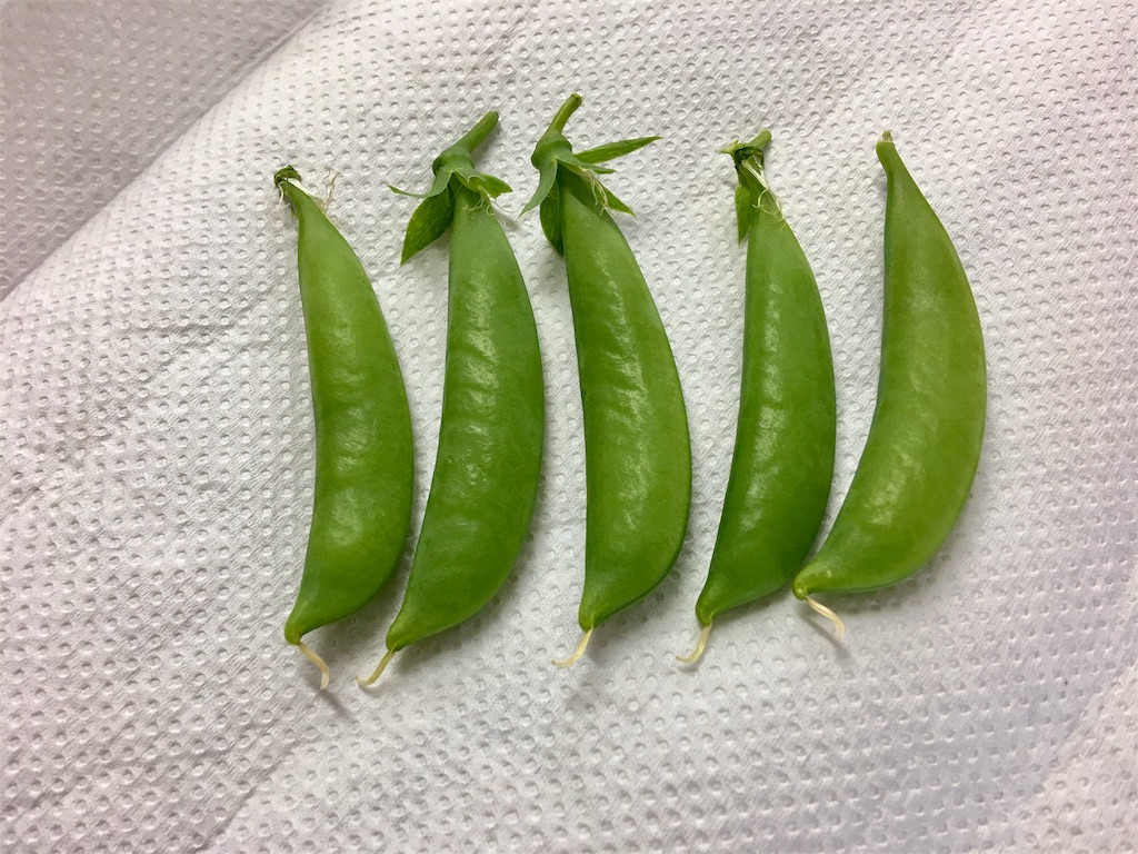 f:id:SYUREI:20180517072606j:image