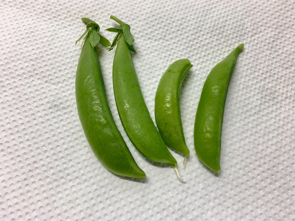 f:id:SYUREI:20180517082128j:image