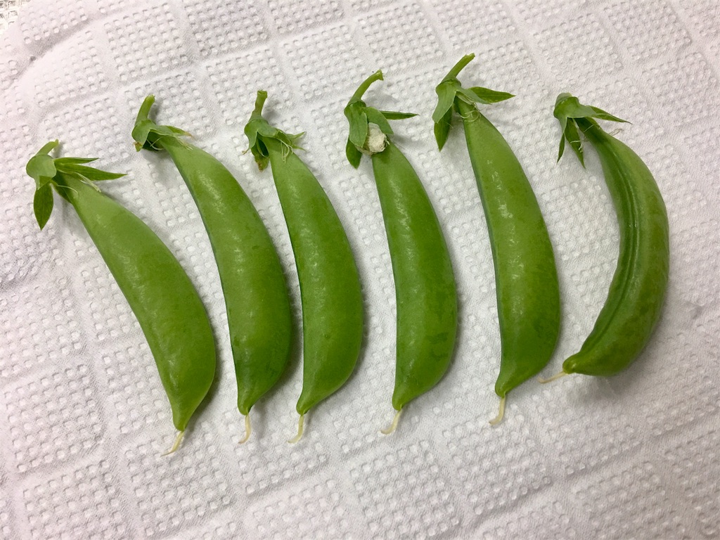 f:id:SYUREI:20180517082132j:image