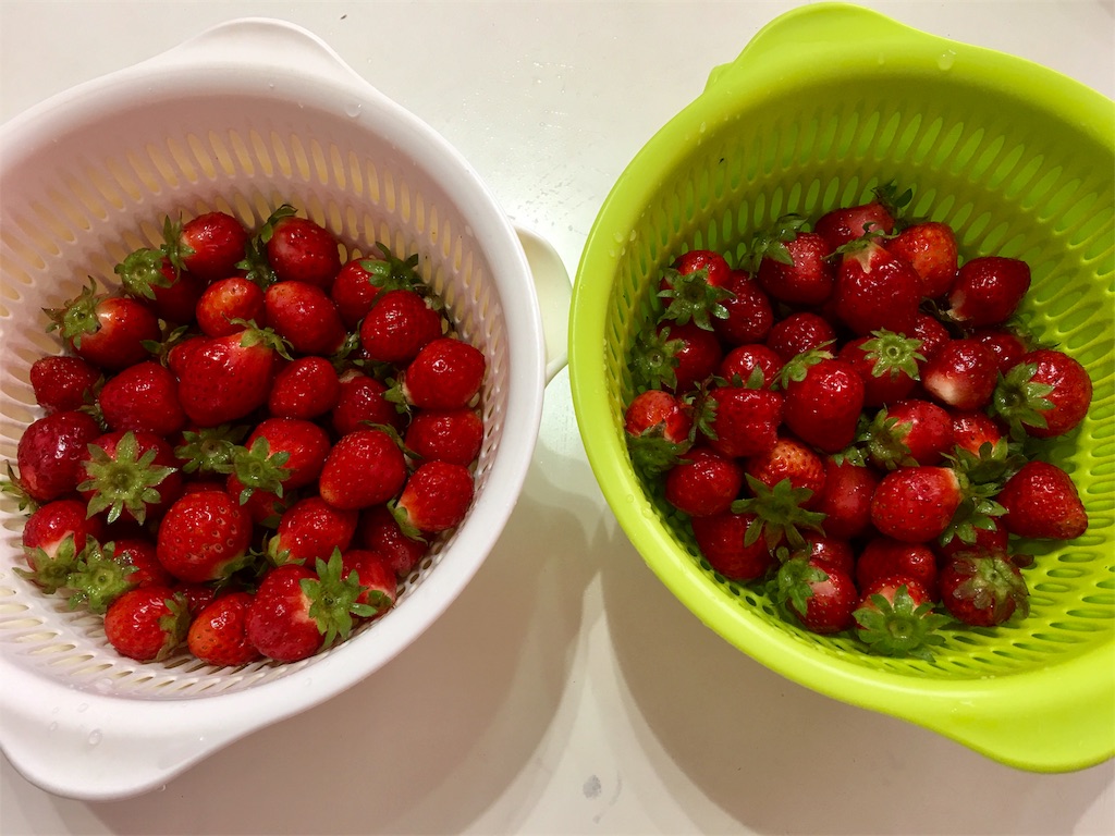 f:id:SYUREI:20180518092409j:image