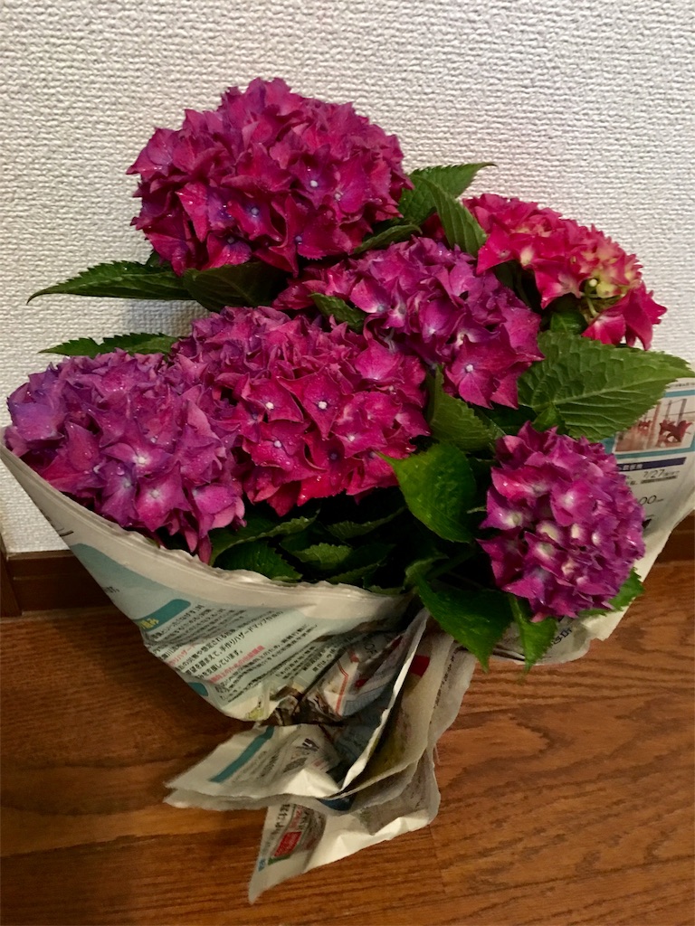 f:id:SYUREI:20180615084501j:image