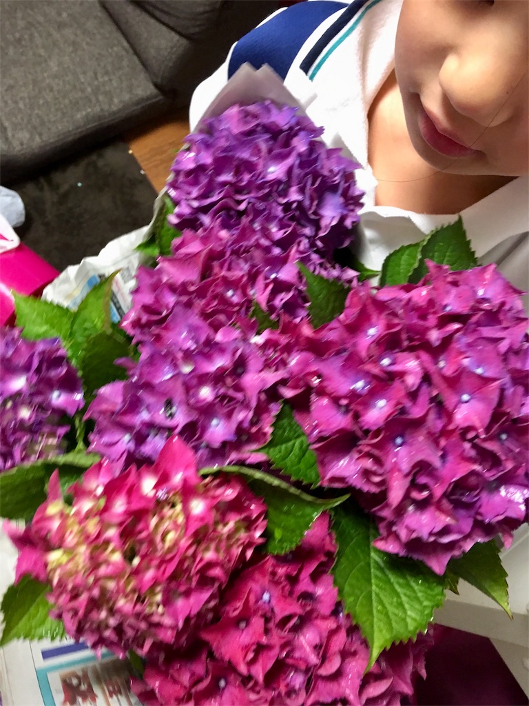 f:id:SYUREI:20180615084514j:image