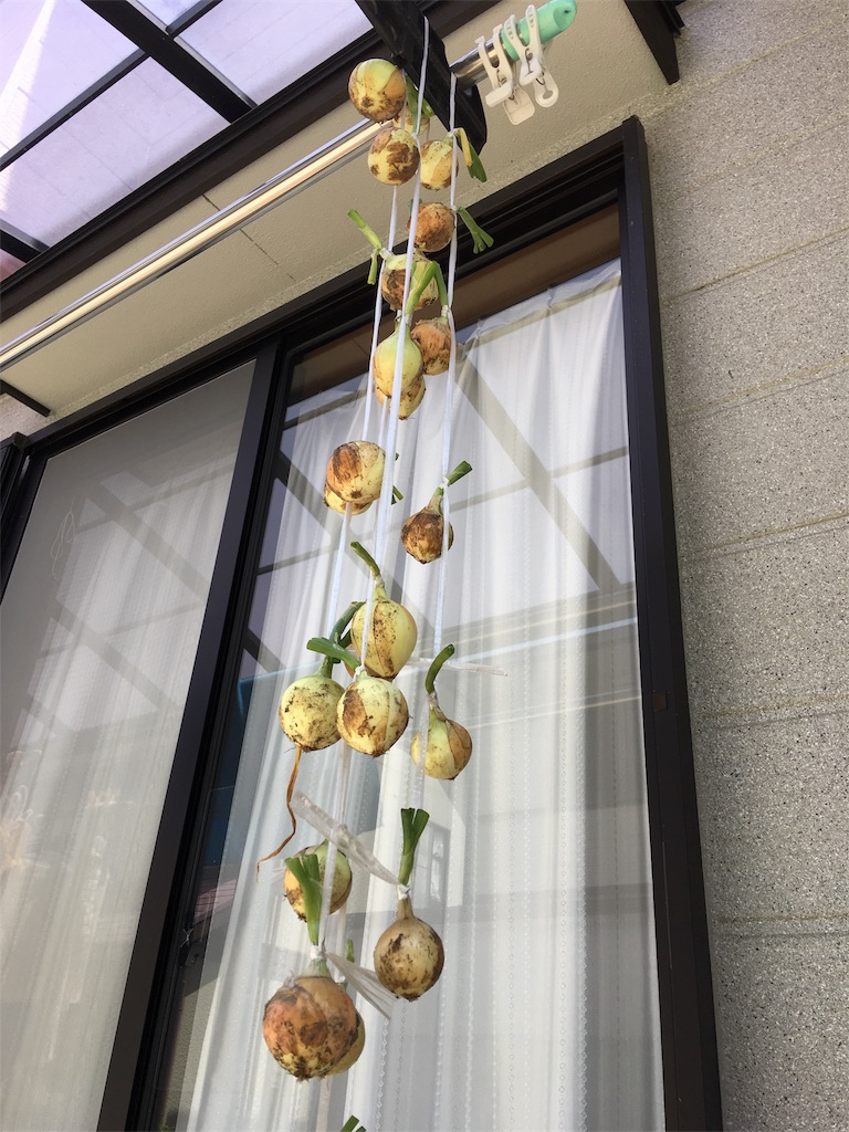f:id:SYUREI:20180617094645j:image