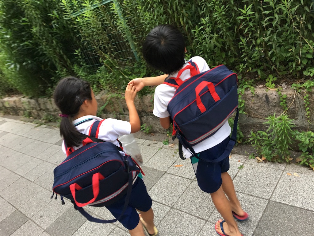 f:id:SYUREI:20180713064303j:image