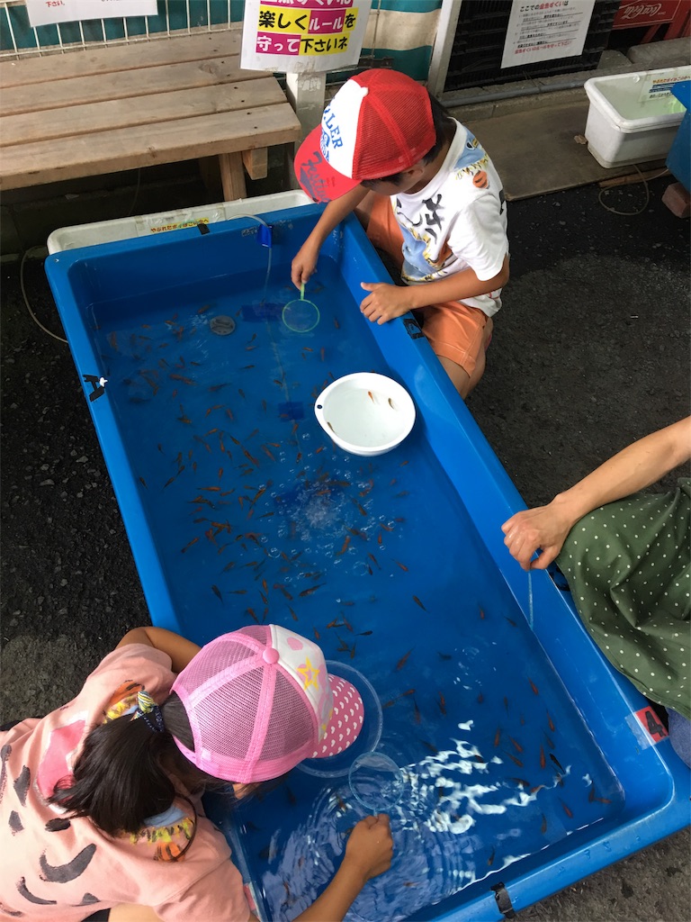 f:id:SYUREI:20180717075225j:image