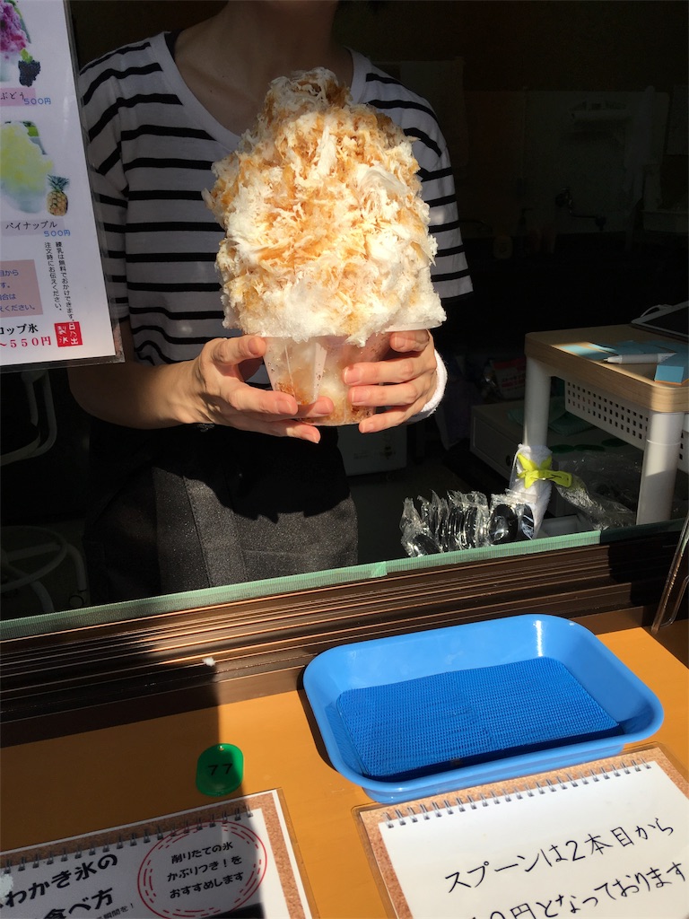 f:id:SYUREI:20180717075404j:image