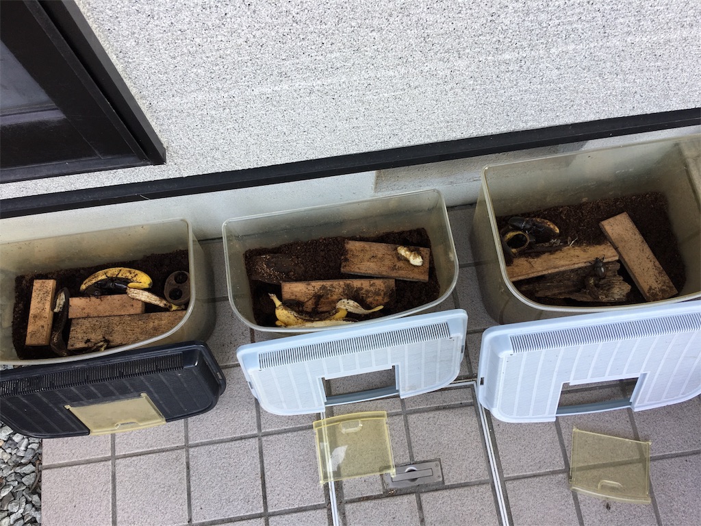 f:id:SYUREI:20180720062422j:image