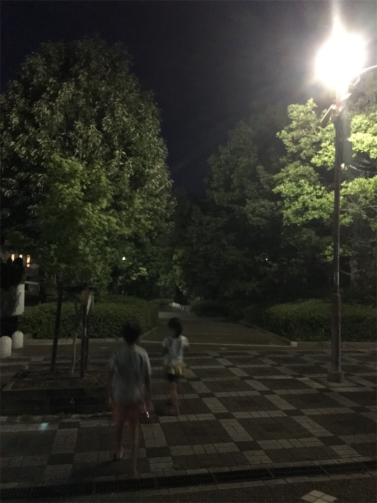 f:id:SYUREI:20180731094111j:image
