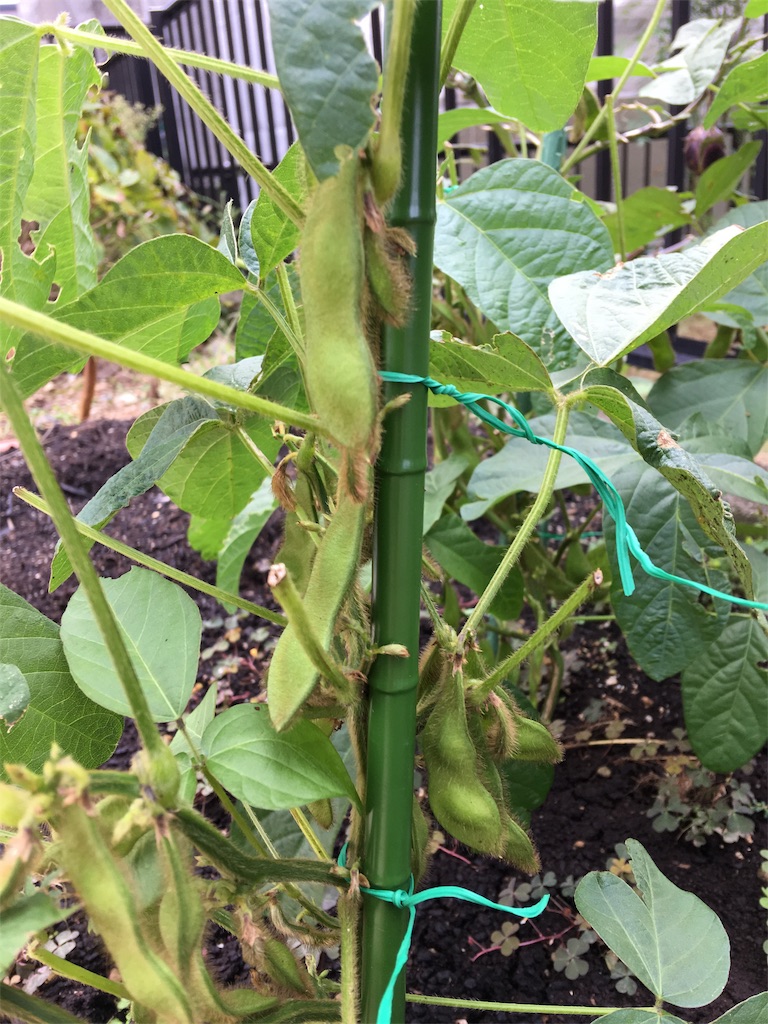 f:id:SYUREI:20180922102716j:image