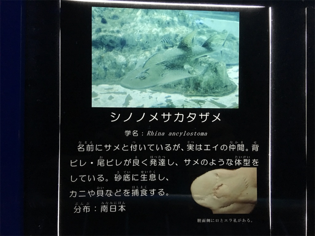 f:id:SYUREI:20180926081818j:image
