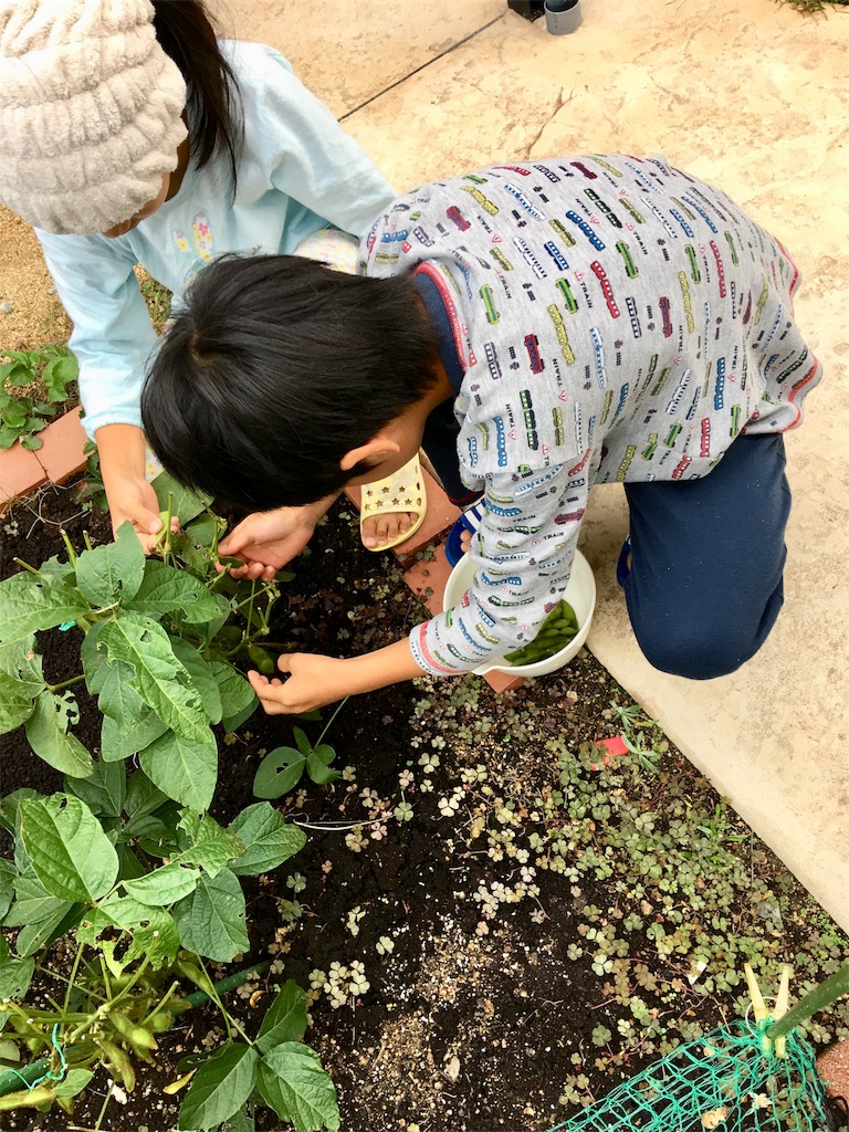 f:id:SYUREI:20181011082218j:image