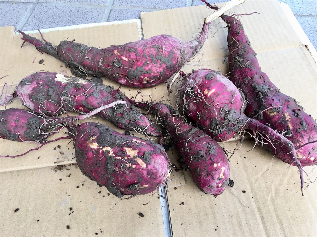 f:id:SYUREI:20181014105313j:image