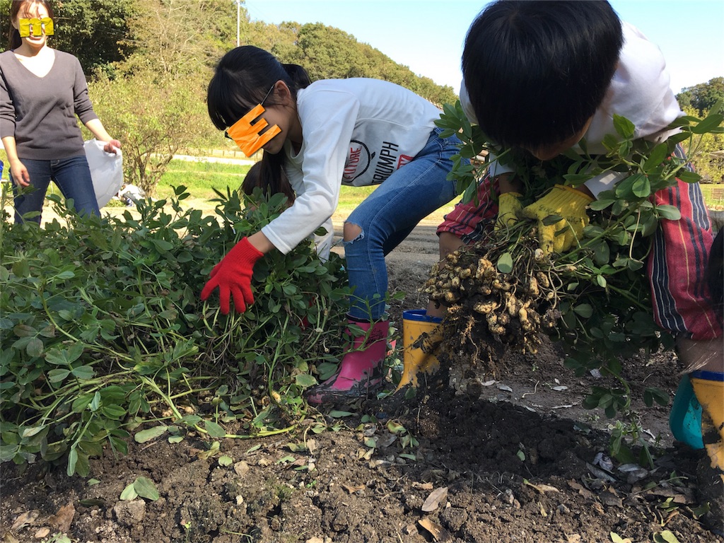 f:id:SYUREI:20181022094308j:image