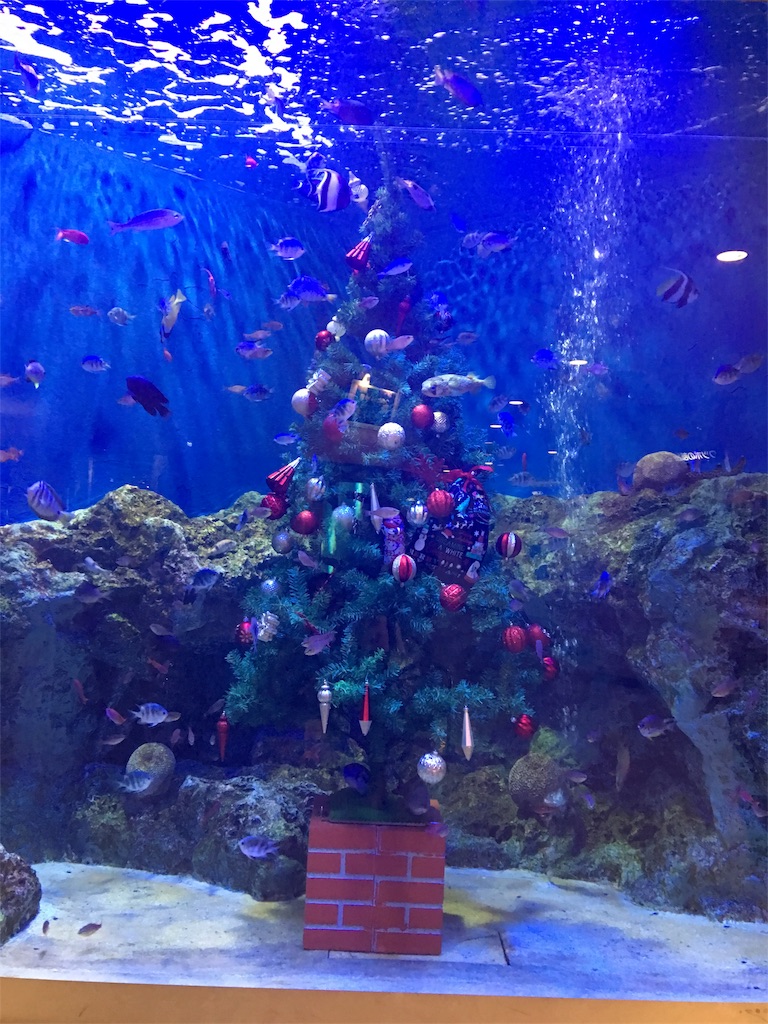 f:id:SYUREI:20181229102130j:image