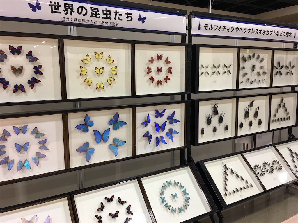 f:id:SYUREI:20190121090132j:image
