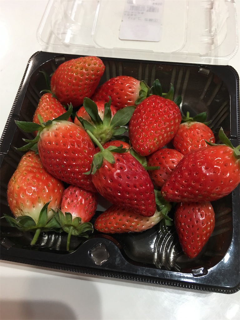f:id:SYUREI:20190122133132j:image
