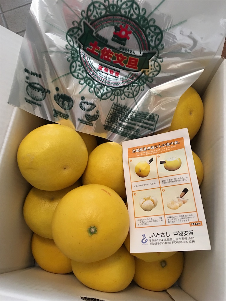 f:id:SYUREI:20190207090510j:image