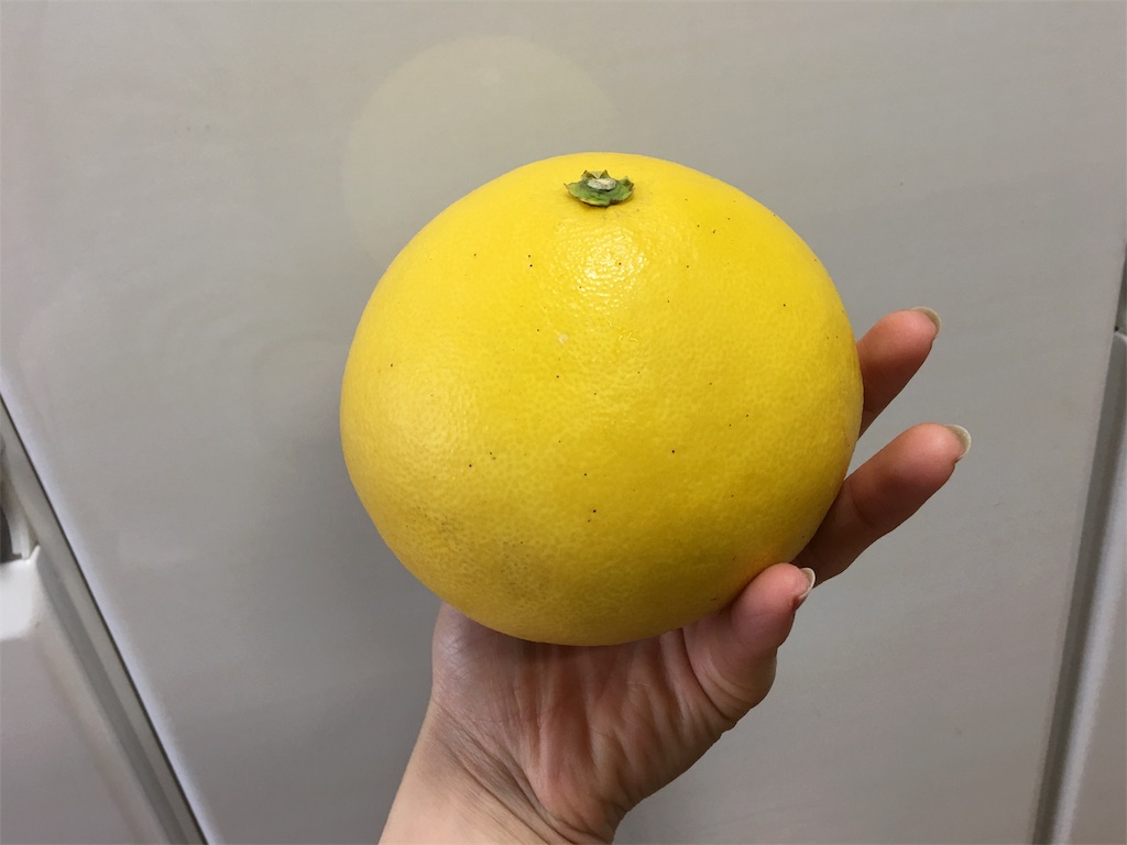 f:id:SYUREI:20190207090516j:image