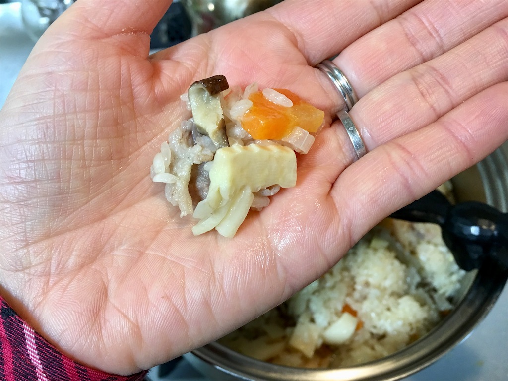 f:id:SYUREI:20190219090737j:image