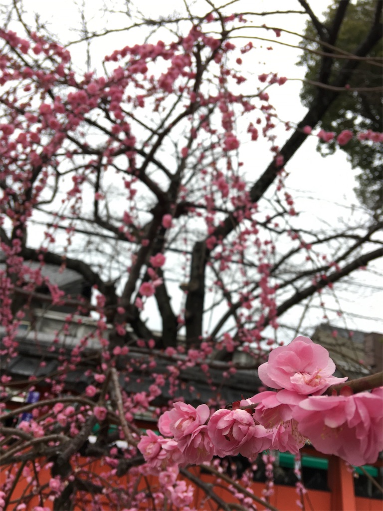 f:id:SYUREI:20190304095623j:image
