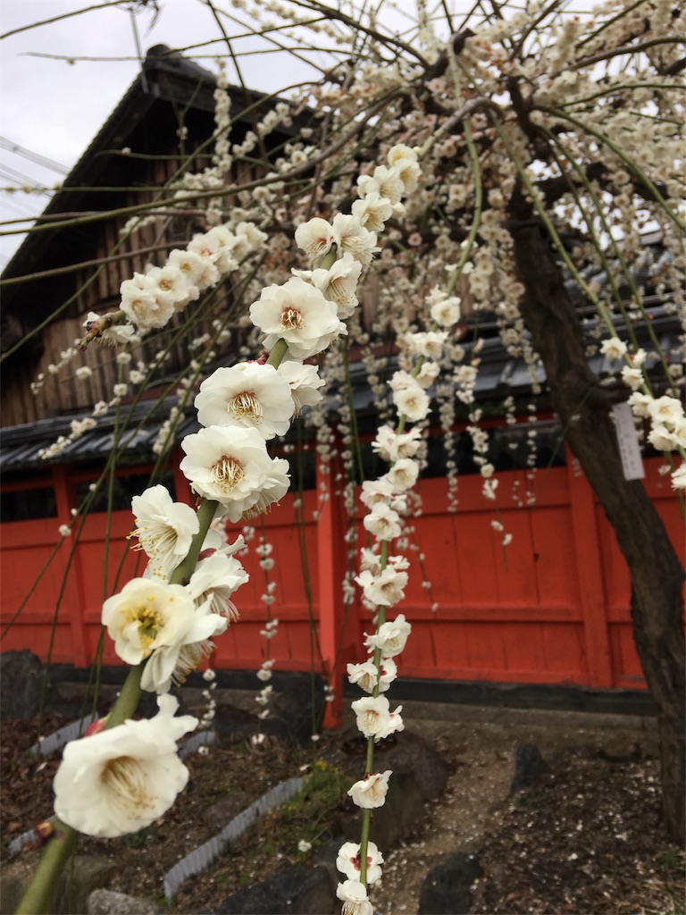 f:id:SYUREI:20190304095627j:image