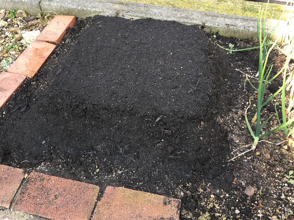 f:id:SYUREI:20190309153355j:image