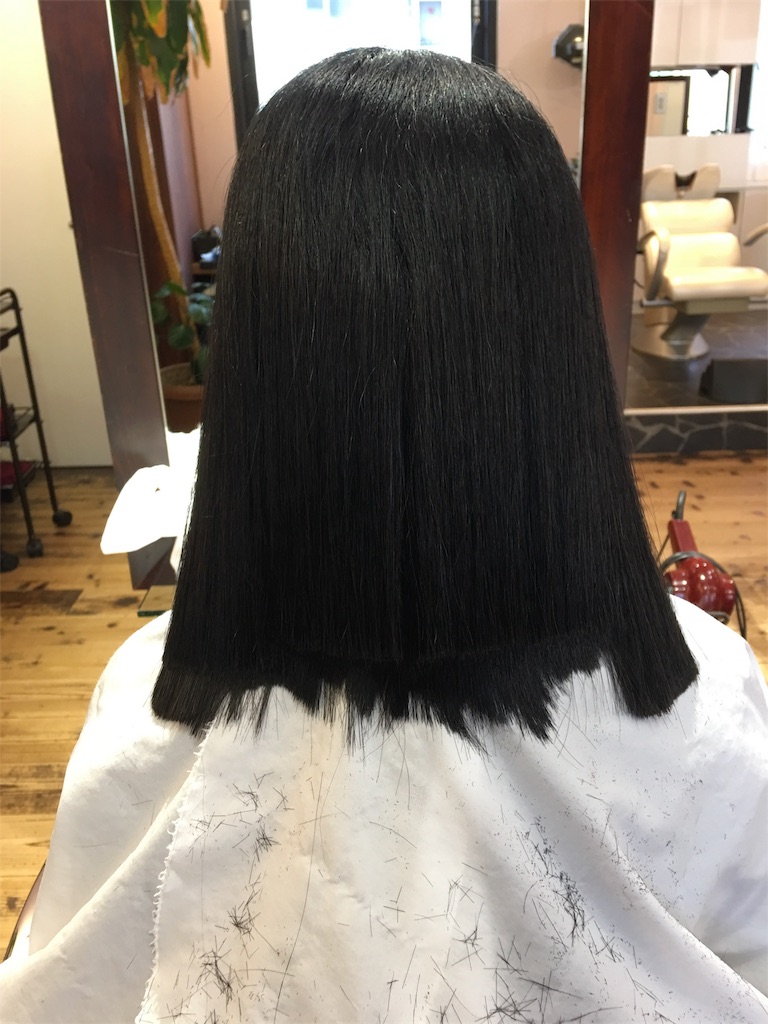 f:id:SYUREI:20190316101540j:image